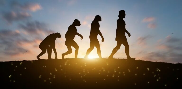 Human body isn’t masterpiece of design – it’s patchwork of evolutionary compromise