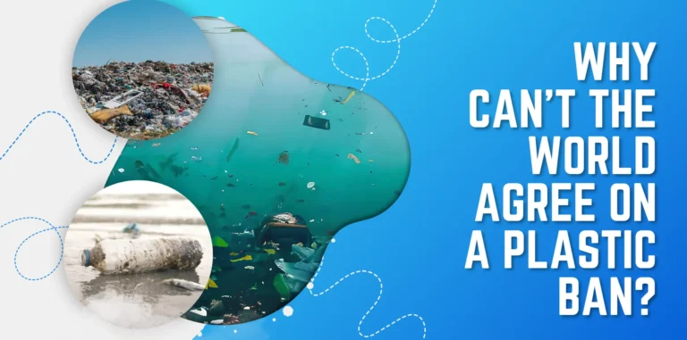 Experts have raised concerns over the inconsistent enforcement of India’s single-use plastic