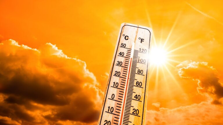 Europe Becomes World’s Fastest-Warming Continent as Heatwaves Disrupt Daily Life.