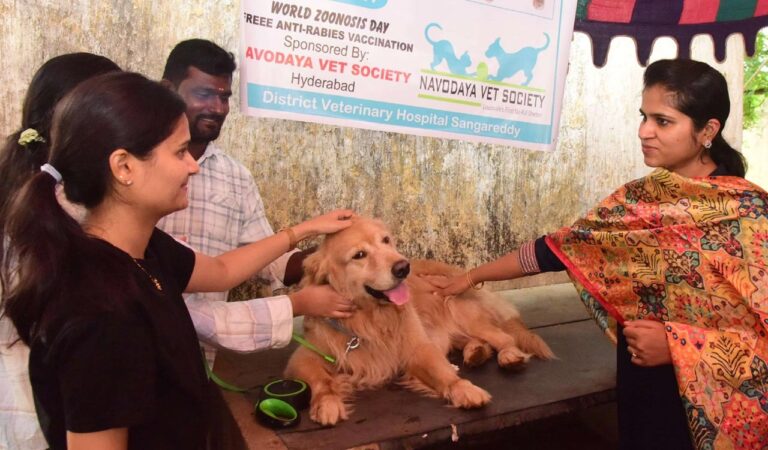 World Zoonoses Day: Hyderabad Veterinarians Urge Rabies Vaccination and Public Awareness